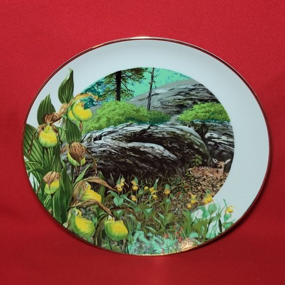 VTG Decorative Plate Royal Windsor Lady Slipper Orchid Wildflowers of the South - Picture 5 of 12